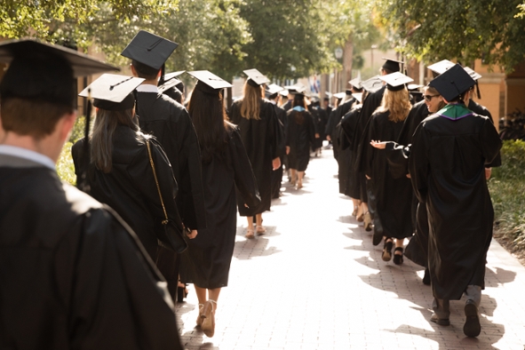 Post Graduation Survey Career Life Planning Rollins College - congratu!   lations class of 2019